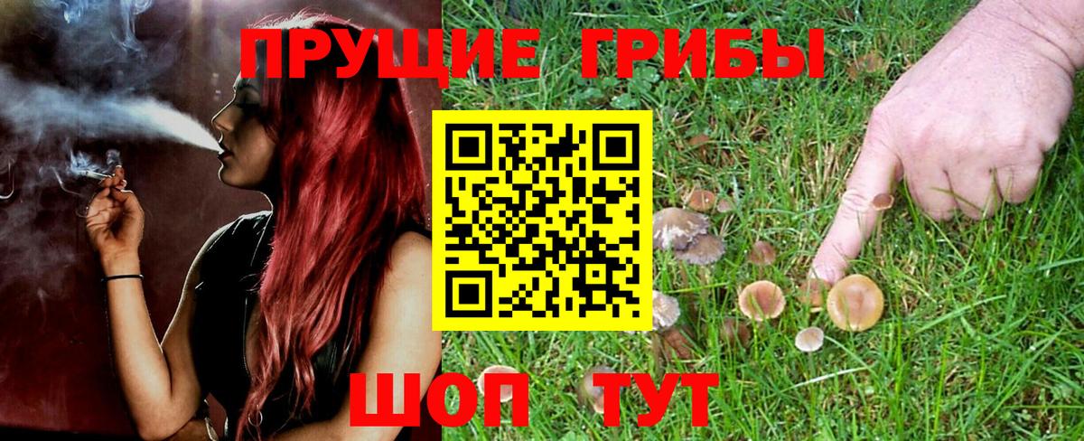 Псилоцибиновые грибы мухоморы Новотроицк