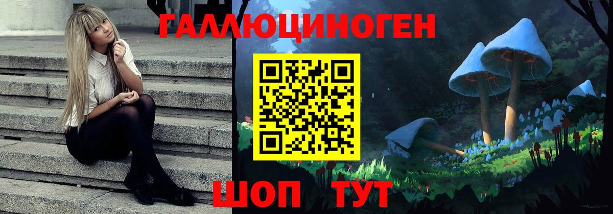 Псилоцибиновые грибы GOLDEN TEACHER  Вход с VPN  Новотроицк 